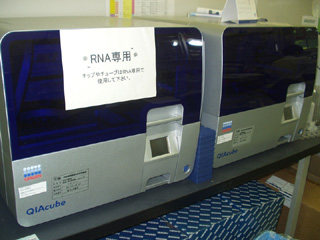 Automated DNA purification system